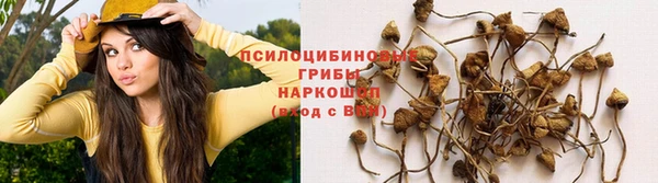 тгк Алексеевка