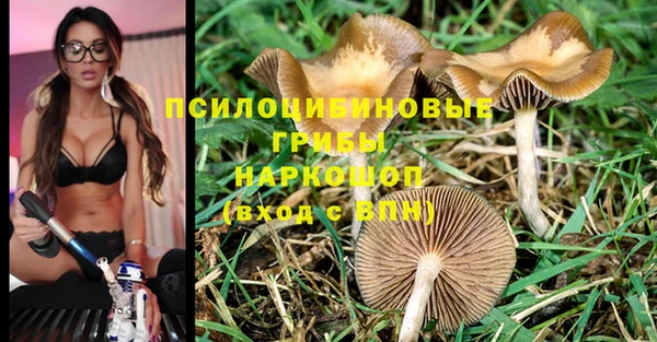 марки nbome Алексин