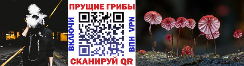 Псилоцибиновые грибы ЛСД  наркота  OMG зеркало  Уфа 